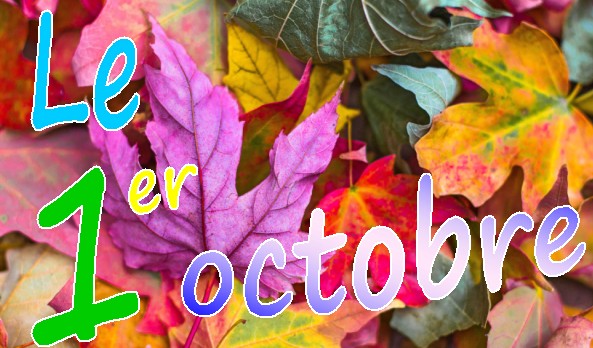 Que vous réserve ce mois d'octobre 2021 ? Hausse automatique du SMIC, revalorisation des APL, réforme de l'assurance chômage, hausse des tarifs du gaz, nouvelles règles pour se rendre au Royaume-Uni… Voici les nouveautés qui nous attendent à compter de ce vendredi 1er octobre 2021.
